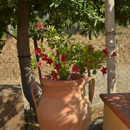 Donna Pulina Holidays بولينا